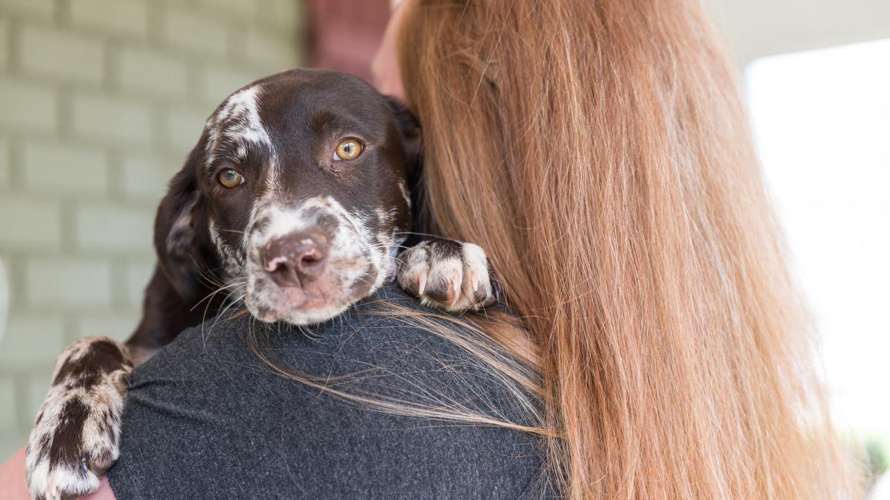Woman holding dog